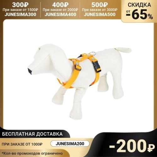 Зооник Collars For Cats