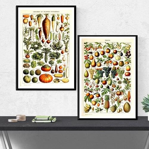 Vintage Vegetable Fruit Mushroom Poster Canvas Print Antique Wall Art Print Botanical Picture Flora Chart Poster Kitchen Illustr