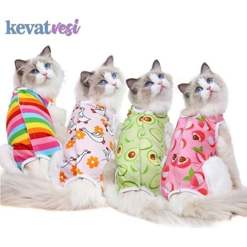 Soft Cat Recovery Suit Spring Summer Cat Sterilization Suit Cute Rainbow Striped Pet Physiological Apparel Cats Weaning Suit