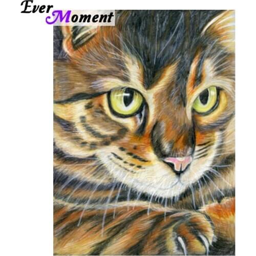 Ever Moment Diamond Painting 5D DIY Cat Full Square Drill Picture Of Rhinestone Mosaic Diamond Embroidery Handmade ASF1335
