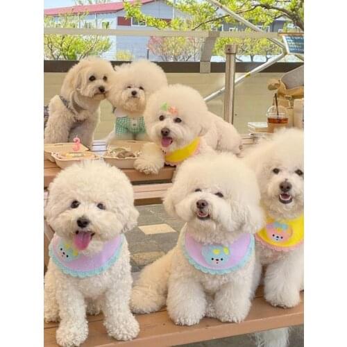 Dog Cat Saliva Towel Bibs Cute Bear Lace Bib Adjustable Pet Bichon Teddy Hiromi Collar Neckerchief Saliva Towel Pet Accessories