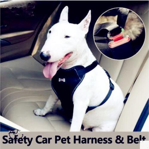 Comfortable massage pet car seat belt In-car dog strap Car professional explosion-proof dog strap set