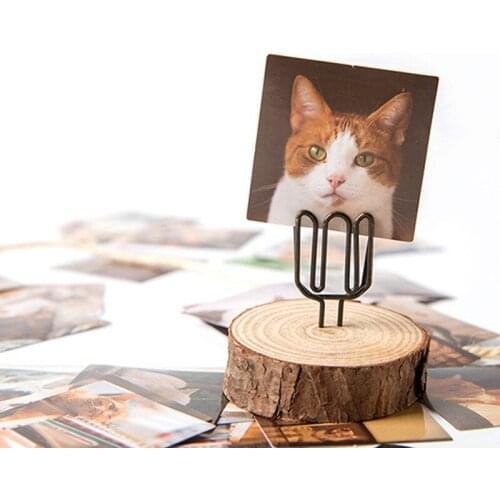 46pcs Cat Mini box sticker Orange pet DIY Cartoon cute Mobile phone case suitcase scrapbook decoration 4*4 CM