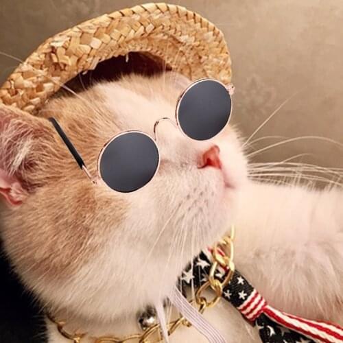 Pet Dog Cat Accessories Sunglasses Necklace Set for Dog Cat Eye Wear Dog Sunglasses Photos Props Accessories Pet Supplies D5067