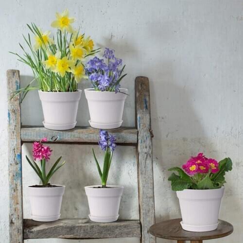 Pots for Plants, 10 Pack Plastic Planters with Multiple Drainage Holes and Tray for All Home Garden Flowers Succulents