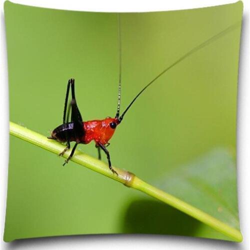 Cushion Without Inner Creative insect Polyester Square Home Decor Sofa Car Seat Decorative Throw Pillow case