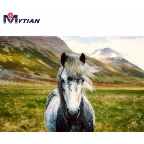 5d Diamond Painting Kit,Full Round Square Drills Iceland Horse Rhinestone Diamond Embroidery Mosaic Home Decoration Wall Sticker