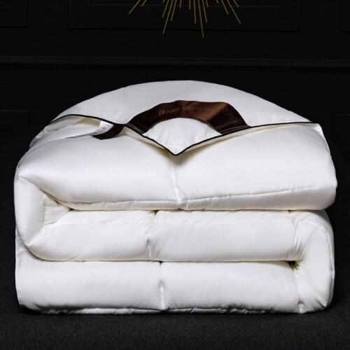 Thickened Down Velvet Quilt Duvets Winter Warm Comforters Cover Insert Blanket Filler King Queen Twin Full Size Home Decor