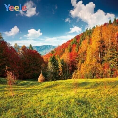 Yeele Landscape Forest Mount Grass Painting Decor Photography Backdrops Personalized Photographic Backgrounds For Photo Studio