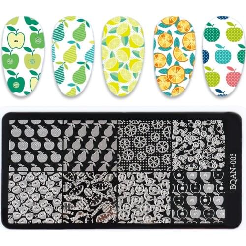 BQAN Fruit Bird Nail Stamping Plates Line Stripe Image Transfer Stamp Templates Leaf Flowers Printing Stencil Tool