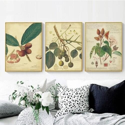Plant Fruit Nordic Canvas Painting Posters and Prints Loquat Koa Tree Wall Art Modular Picture For Living Room Home Decorations