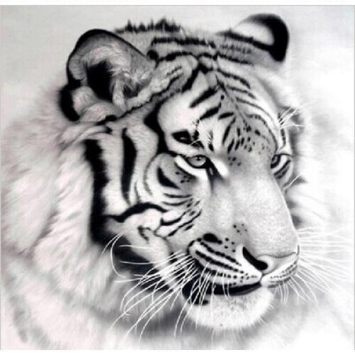 Tiger Diy Diamond painting needlework square diamond embroidery rhinestone sticker pictures Handmade Crafts wall decor art Y626