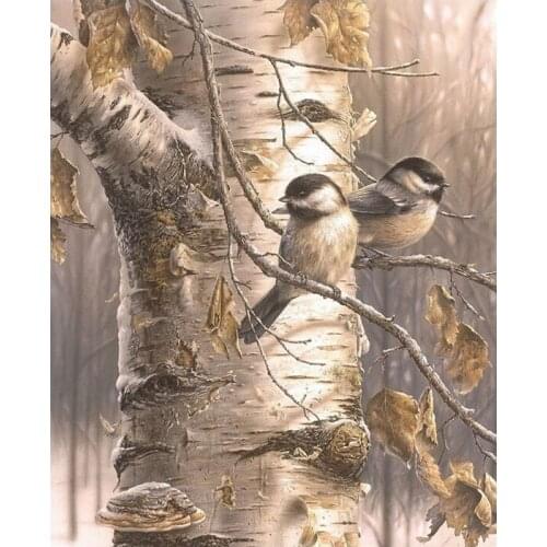 Home Decoration Birds Animal Oil Picture painting art print poster mural family bedroom wall decoration No Frame