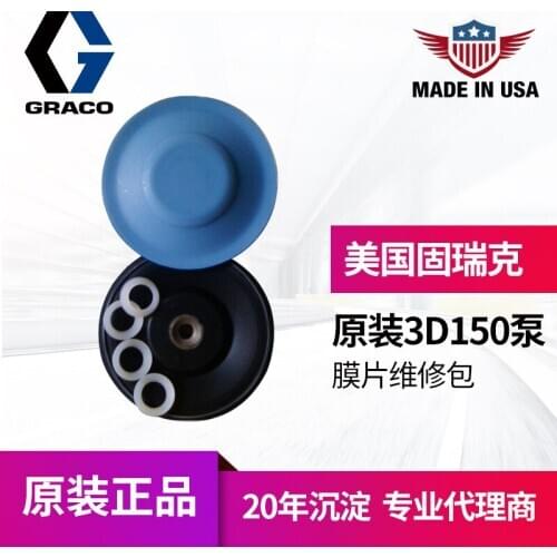 Triton 308 diaphragm pump 245065 repair coating maintenance package