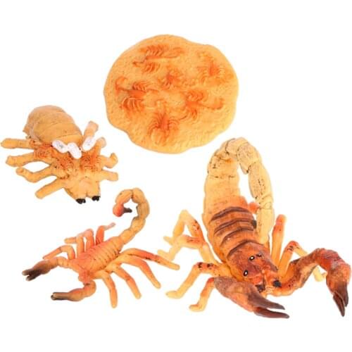 Simulation Scorpion Life Cycle Set Action Toy Educational Preschool Toys