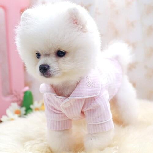 Pet garment cat cat cat pet clothing accessories dog appease the striped pajamas at home