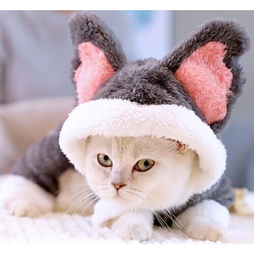 Pet Cat Clothes Winter Suit Warm Soft Coat Outdoor Jacket Hoodie Clothes For Cats Cute Koala Outfits Products For Cat