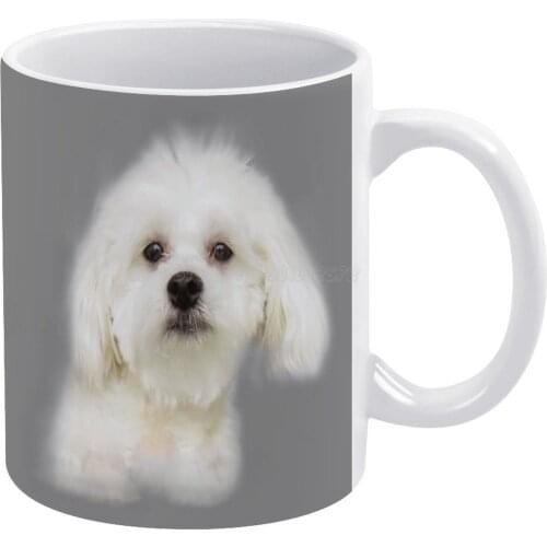 Maltese Puppy White Mug Ceramic Mug Creative Mug Puppy Pet Dog Maltese Bichon Frise Shih Tzu Maltese Mix Ancient Dog