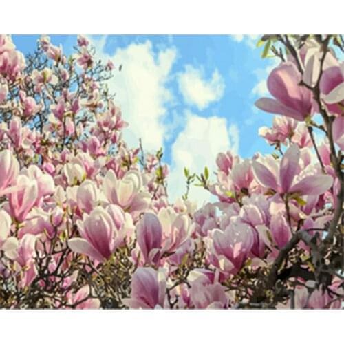 GATYZTORY Frame Magnolia Flower DIY Painting By Numbers Wall Art Picture Acrylic Home Decors Artwork Diy Gift