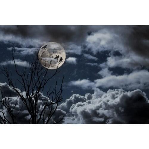 Halloween Trick-or-Treating Moonlit Night Crow Deadwood Leaves Ghost Fear Indoor Background Cloth For Live Broadcasts And Party