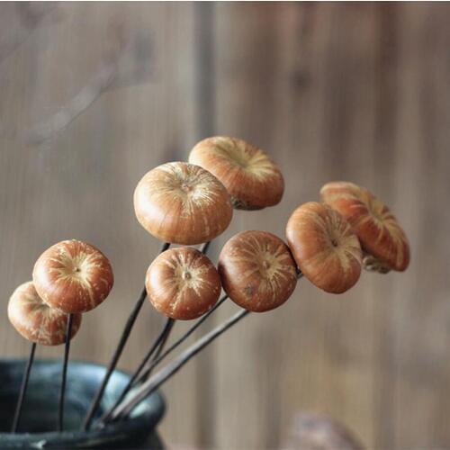 10pcs 2-6cm Dried Mushroom Flower For Craft Gift Material Accessory Decoration DIY Flower Bouquet Miniascape Making