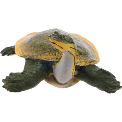 Animals Figure Toys Sea Soft-shelled turtle Animals Model Aquarium Toys Realistic Wild Pastic Figurine Animal Developmental Toy