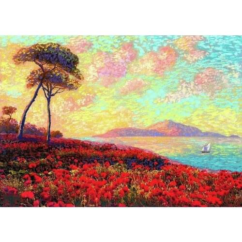 JMINE Div 5D Red Poppy Flower Field Full Diamond Painting cross stitch kits art High Quality Scenic 3D paint by diamonds