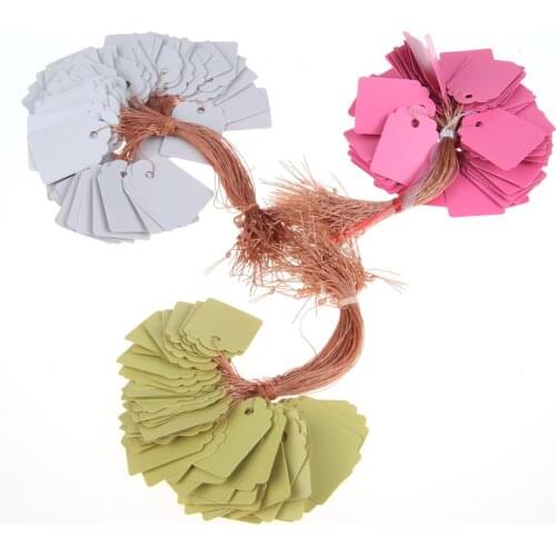 100Pcs/lot Plants Hang Tag Labels Seedling Garden Flower Pot Plastic Tags Number Plate Hanging Reusable PVC Garden Tools