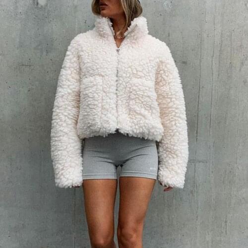 Autumn Winter Faux Fur Coat Women Solid Color Stand Collar Zipper Fur Jacket Overcoat Women Pockets Teddy Coat casaco feminino