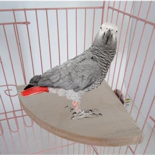 3 Sizes Bird Parrot Wood Platform Stand Rack Toy Hamster Branch Perches For Bird Cage Toys Pet Supplies