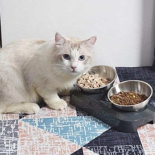 2021 NEW Non-slip Stainless Steel Pet Bowl With Raised Stand Pet Food Bowls For Cats Dogs Feeders Bowl Easy To Clean Pet Product