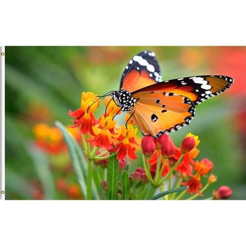 Butterfly Insects in On Orange Floral Flowers Spring Summer Natural Seasonal 3x5 Foot Flagor Home House Outdoor Indoor Decor