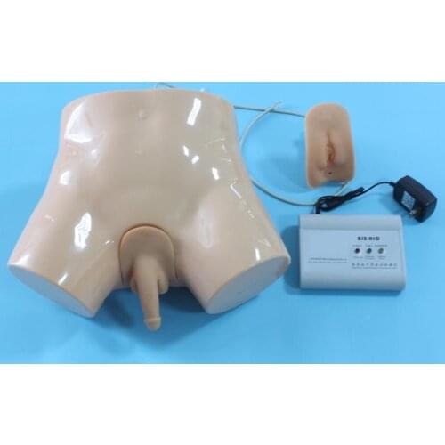 BIX-H1D Medical Teaching Model Electronic Urethral Catheterization Enema Training Manikin WBW202
