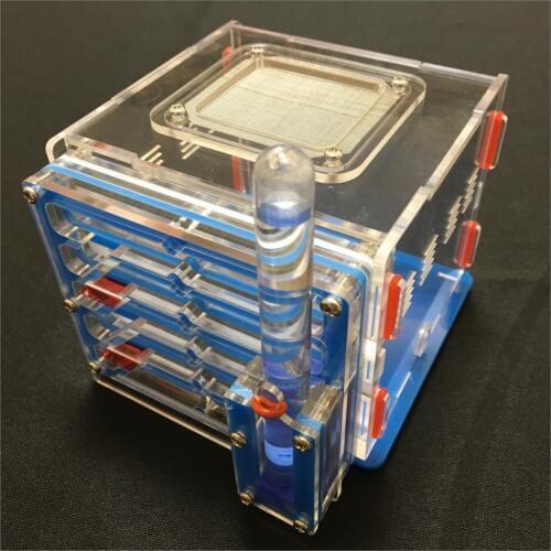 Ant grape series antgranery moisture with feeding area ant nest,ant farm acryl,insect ant nests villa