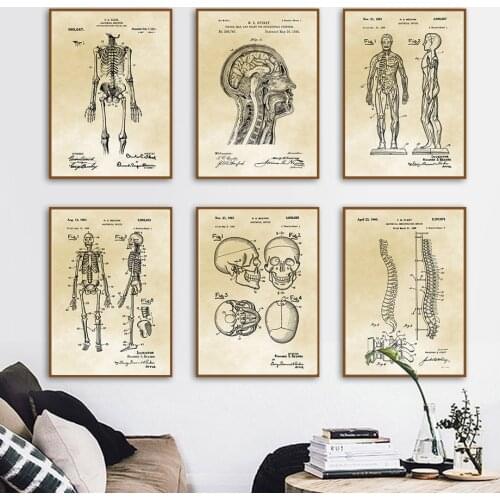 Medicine Human Anatomy Muscle Skeleton Retro Art Canvas Painting Nordic Posters And Prints Wall Pictures Hospital Office Decor