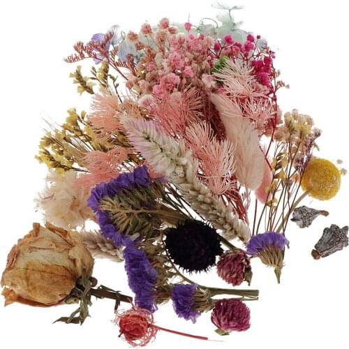 Assorted Colorful Real Pressed Dried Flowers Natural Dried Flowers for Art Craft DIY Resin Scrapbooking Card Making