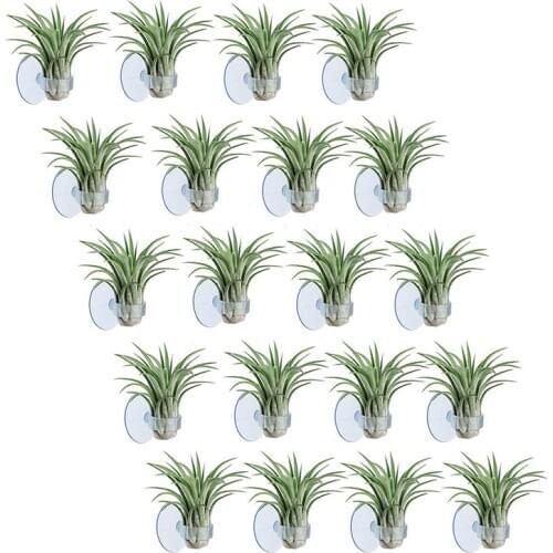 20 Pcs Air Plant Holder, Plant Pot Tillandsia Holder Air Plant Hanger with Suction Cup for Hanging (Plants Not Included)