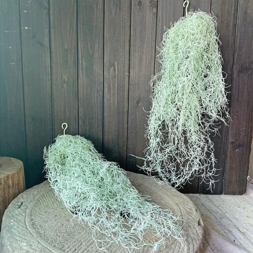 ENRMIIV Artificial Vines