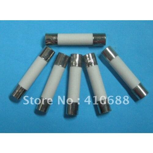 Ceramic Fuse 10A 250V 6mm x 30mm Fast Blow 100 Pcs Per Lot Hot Sale HIGH Quality