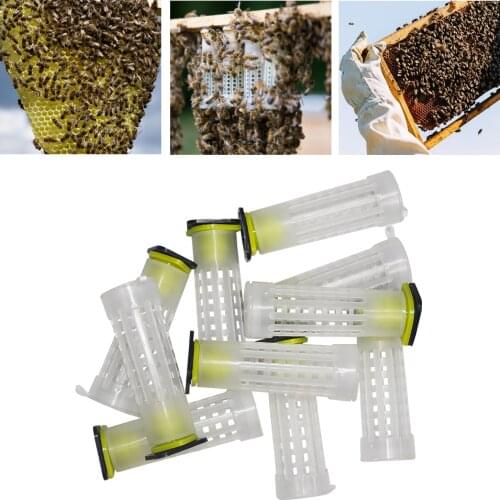 10Pcs Beekeping Tool Nicot Queen Rearing Cupkits Cages Bees Roller Cage Holder Fixtures Apiculture Equipment