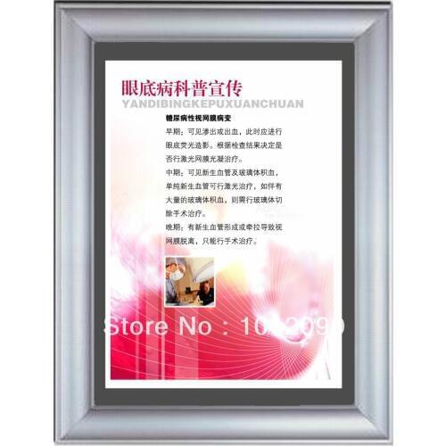 Free Shipping Aluminium Alloy Poster Frame with Printing Snap Poster Holding (A4 Size)