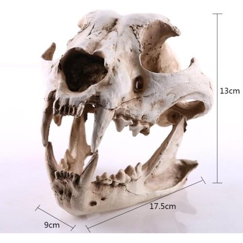 9x17.5x13cm / Dog skull model beautiful movie scene props resin skull resin crafts ornaments home decoration