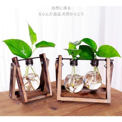Personal home hydroponic plants container vase glass transparent small fresh desktop decoration