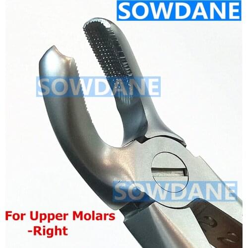 1 piece Stainless Steel Dental Surgery Forcep Dental Adult Tooth Extraction Plier For Upper Right Molar Dentist Tool