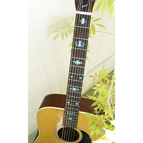 Fretboard Markers Inlay Sticker Decals for Guitar & Bass, Banjo - Aged Banjo Type - AB/WS