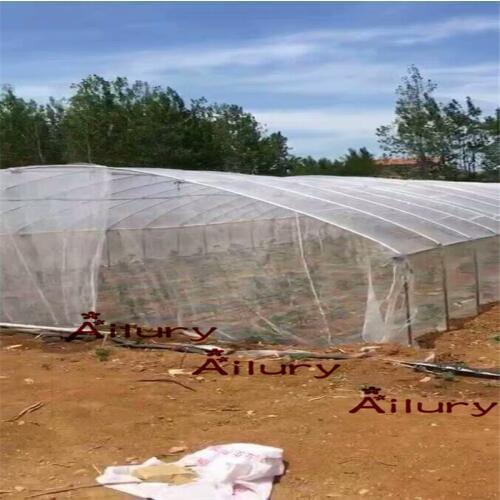 2M width,Insect net shed special thickening vegetables 60 mesh agricultural fruit tree nylon net cover frog breeding net
