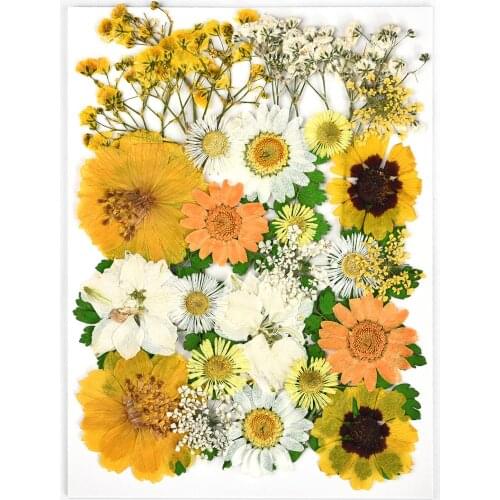 1pack Dried Flowers For Resin Mold Fillings Epoxy Resin Dry Plants Pendant Necklace Jewelry Making Craft DIY Nail Art Decoration