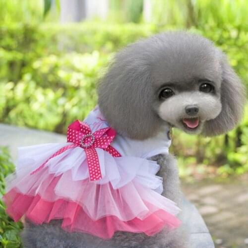 Sweety Dog Clothes Princess Dress for Small Dogs Spring Summer Puppy Dog Lace Princess Dresses Chihuahua Dog Skirt Pink