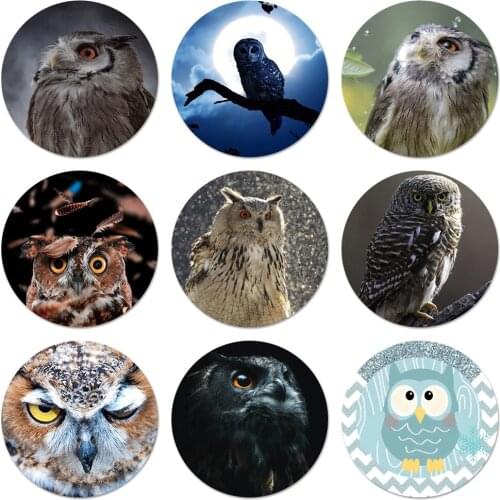 Animal Owl Cute Icons Pins Badge Decoration Brooches Metal Badges For Clothes Backpack Decoration