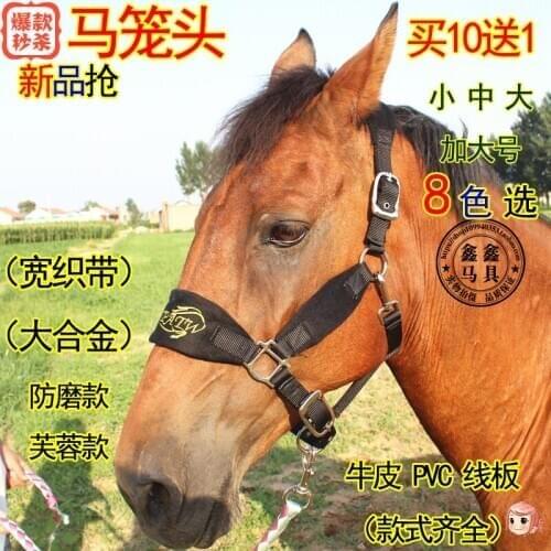 Pull Horse Halter Horse Harness Full Protection Grinding Cage Set Equestrian International Nylon Race Horse Bridle